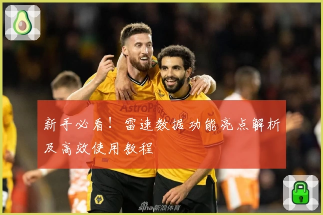 新手必看！雷速数据功能亮点解析及高效使用教程