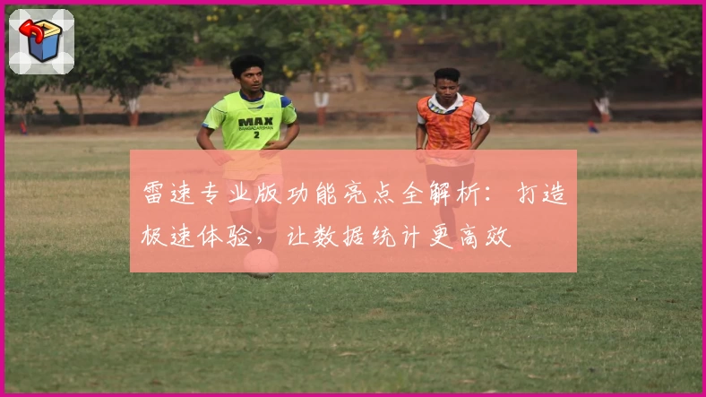 雷速专业版功能亮点全解析：打造极速体验，让数据统计更高效