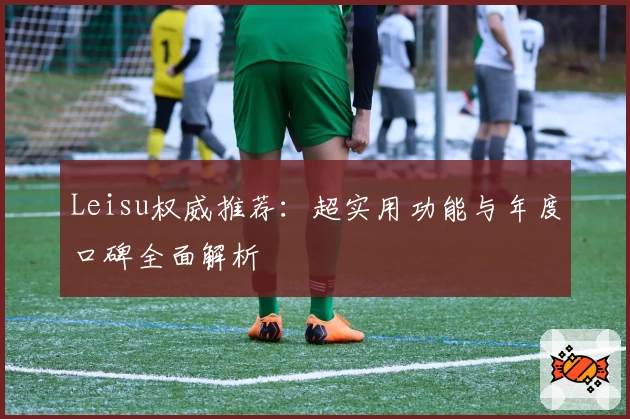 Leisu权威推荐：超实用功能与年度口碑全面解析