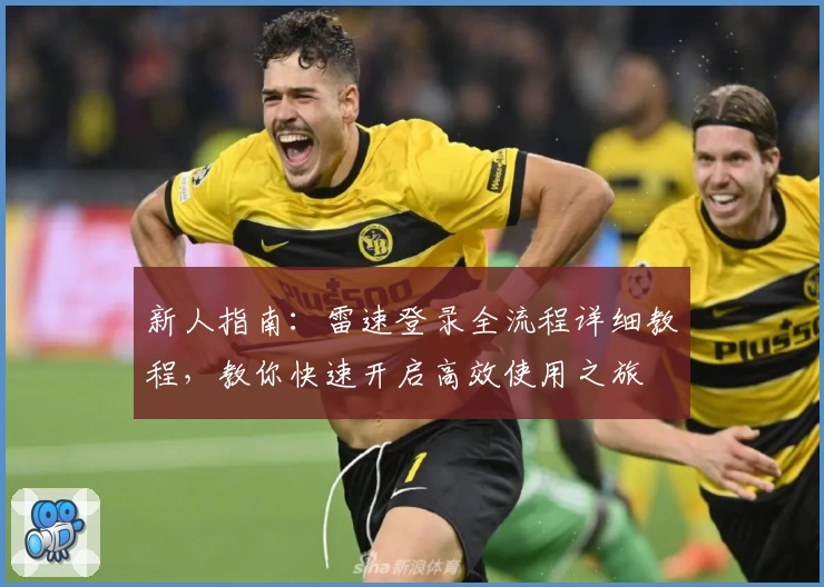 新人指南：雷速登录全流程详细教程，教你快速开启高效使用之旅