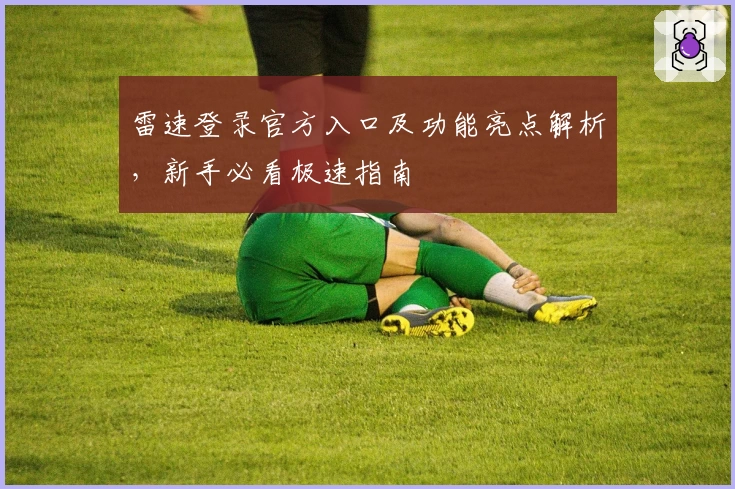 雷速登录官方入口及功能亮点解析，新手必看极速指南