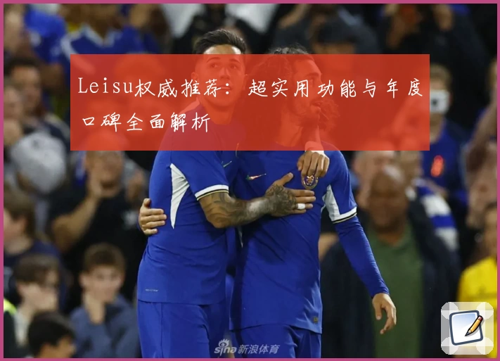 Leisu权威推荐：超实用功能与年度口碑全面解析